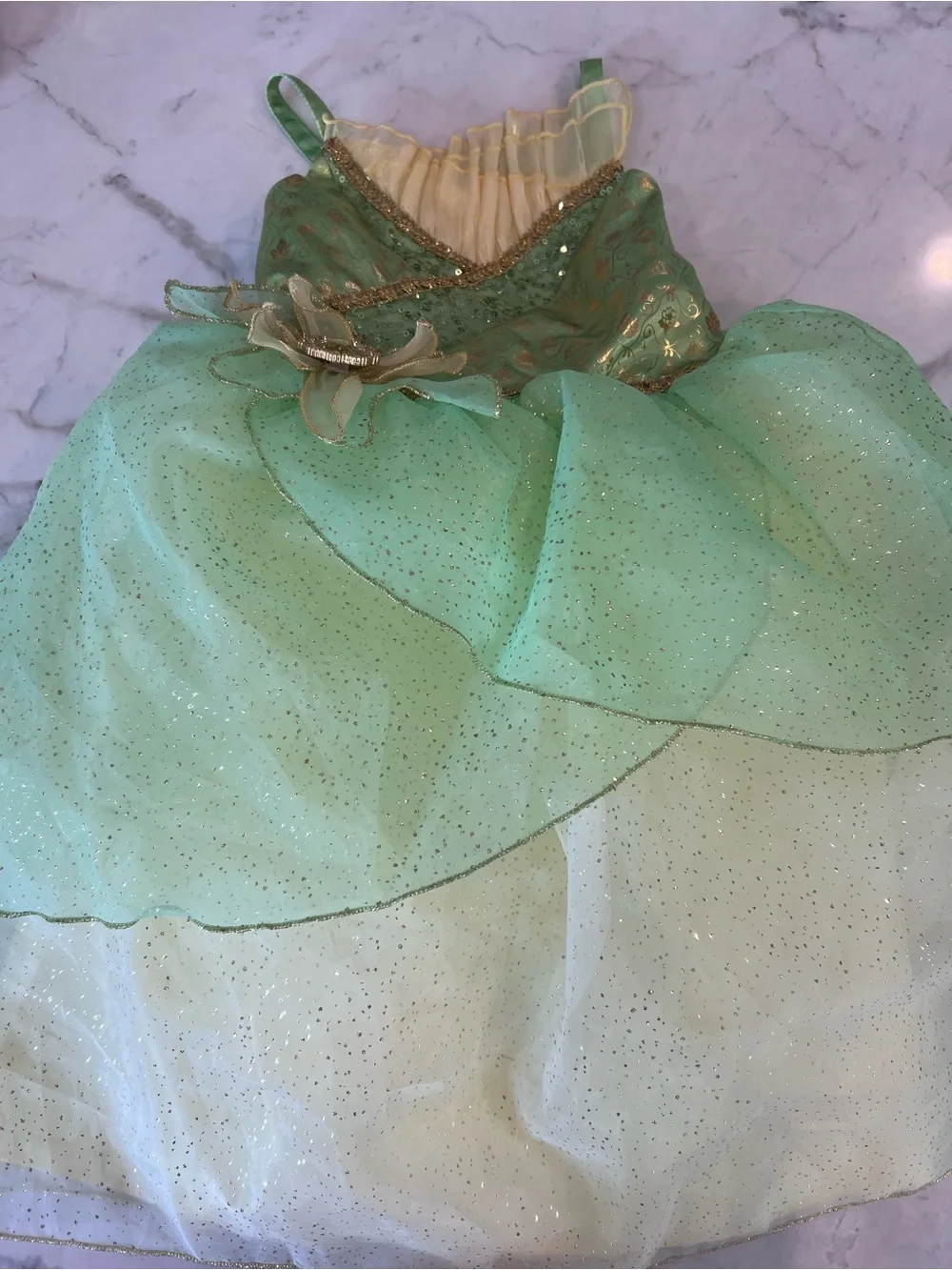 Girls Tiana Disney Princess Tulle Costume Dress